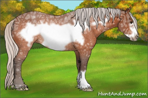 Horse Color:Silver Bay Ice Roan Frame Rabicano 