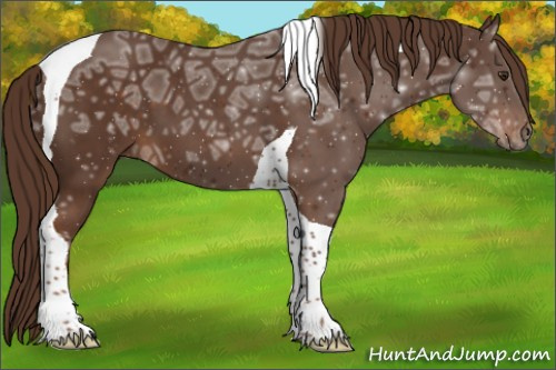 Horse Color:Liver Chestnut Ice Tobiano