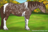 Horse Color:Liver Chestnut Ice Tobiano 