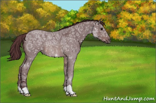 Horse Color:Chocolate Brown Ice Roan
