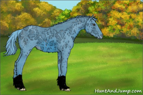 Horse Color:ERROR: UNKNOWN ANOMALY