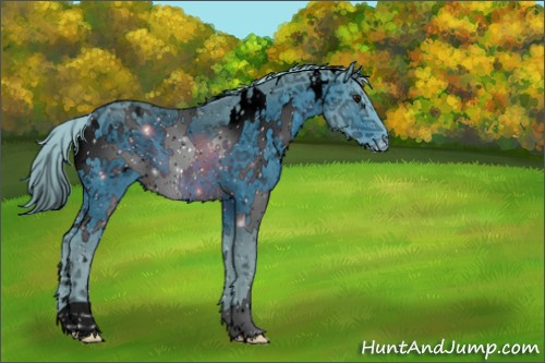 Horse Color:ERROR: UNKNOWN ANOMALY