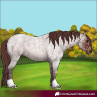 Horse Color:Chocolate Brown Ice Roan