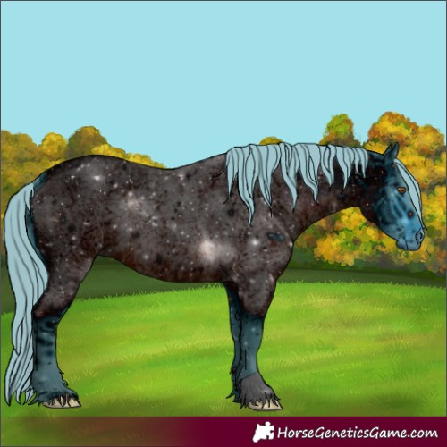 Horse Color:ERROR: UNKNOWN ANOMALY