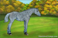 Horse Color:ERROR: UNKNOWN ANOMALY