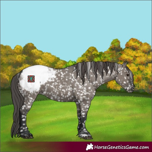Horse Color:Grullo Snowcap 