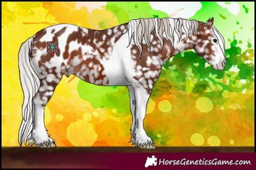Horse Color:White Spotted Silver Brown Tobiano Blanket 