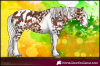Horse Color:White Spotted Silver Brown Tobiano Blanket 