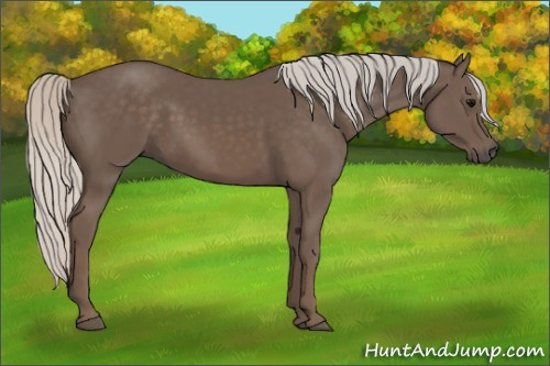 Horse Color:Silver Black 