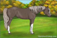 Horse Color:Silver Black 