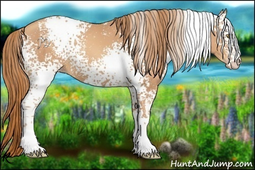 Horse Color:White Spotted Gold Champagne 