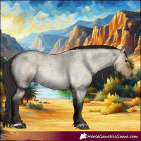Horse Color:Buckskin Roan Dun 