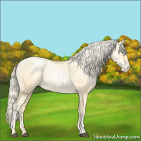 Horse Color:Palomino Pearl