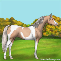 Horse Color:Silver Amber Champagne Tobiano