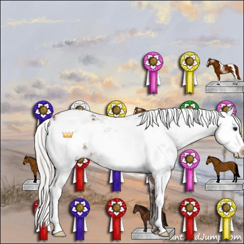Horse Color:Silver Bay Sabino 