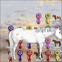 Horse Color:Silver Bay Sabino 
