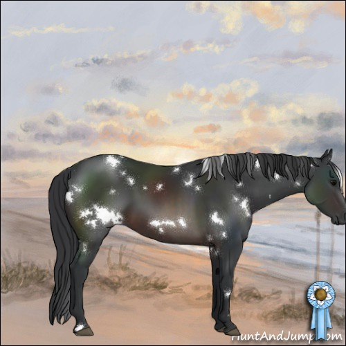Horse Color:White Spotted Brown 