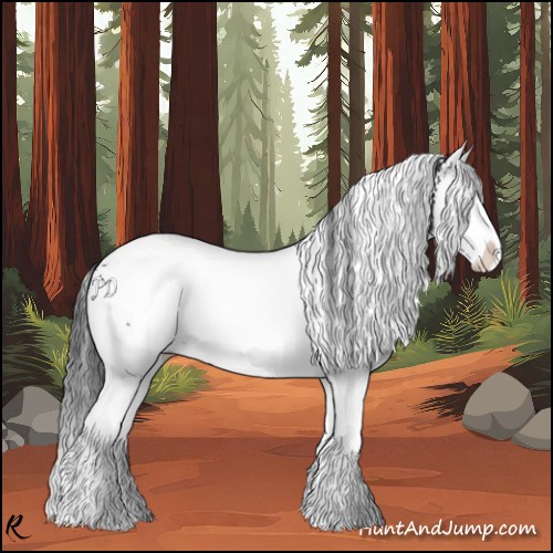Horse Color:White Spotted Black Splash