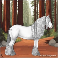 Horse Color:White Spotted Black Splash 