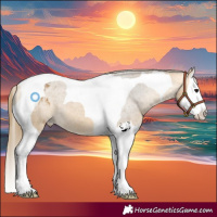 Horse Color:Buckskin Splash Tobiano Appaloosa 