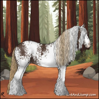 Horse Color:White Spotted Liver Chestnut 