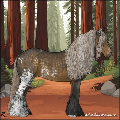 Horse Color:White Spotted Chocolate Palomino