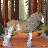 Horse Color:White Spotted Chocolate Palomino Dun Splash 