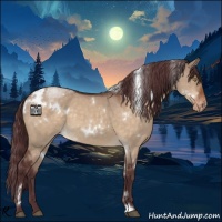 Horse Color:White Spotted Chocolate Brown Dun Varnish 