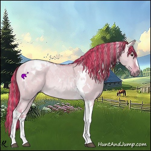 Horse Color:Painted Watercolor Red Dun Tobiano 