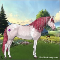 Horse Color:Painted Watercolor Red Dun Tobiano 