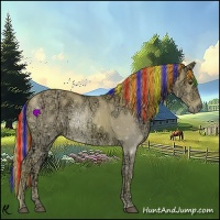 Horse Color:Painted Watercolor Red Dun Ice 