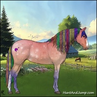 Horse Color:Painted Watercolor Bay Dun