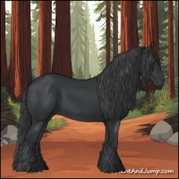Horse Color:Black 