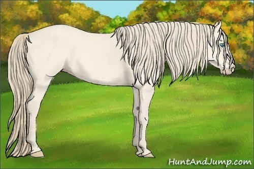 Horse Color:Perlino 