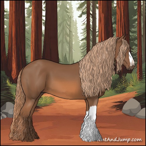 Horse Color:Chestnut 