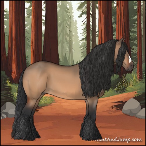 Horse Color:Bay Dun