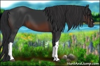Horse Color:Brown 