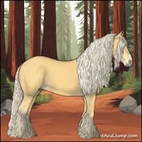 Horse Color:Palomino 