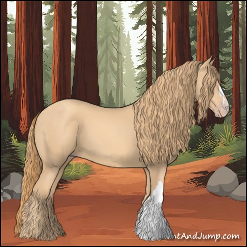 Horse Color:Gold Champagne 