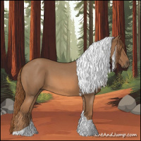 Horse Color:Red Roan Tobiano 