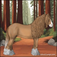 Horse Color:Chestnut Splash 