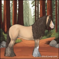 Horse Color:Amber Champagne 