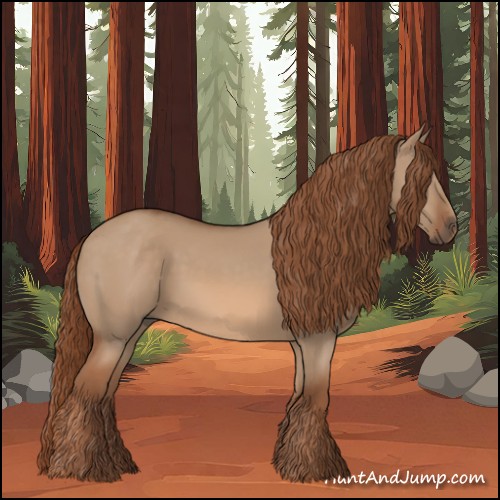 Horse Color:Red Dun 