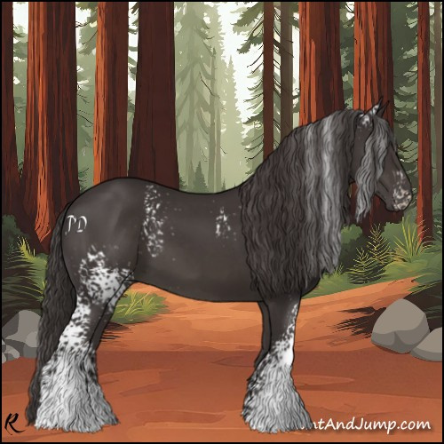Horse Color:White Spotted Smoky Black Rabicano 