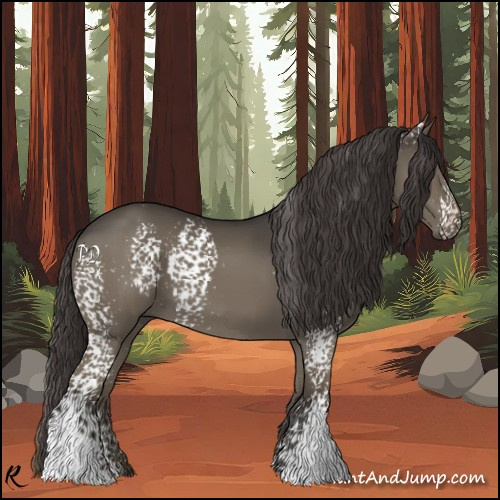 Horse Color:White Spotted Smoky Grullo 