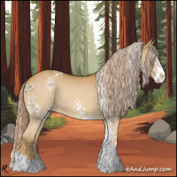 Horse Color:White Spotted Palomino Splash 