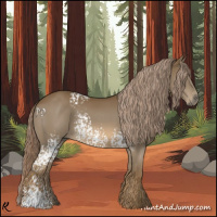 Horse Color:White Spotted Chocolate Palomino 