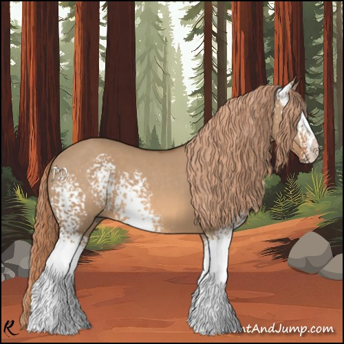 Horse Color:White Spotted Red Dun 