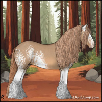 Horse Color:White Spotted Red Dun 