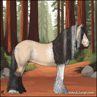 Horse Color:White Spotted Bay Dun 